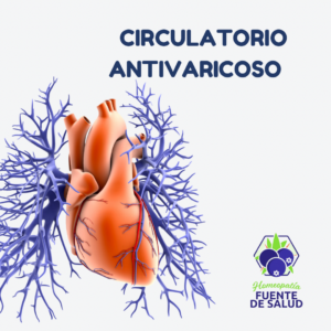 Circulatorio Antivaricoso