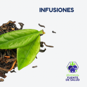 Infusiones