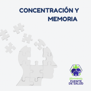 Concentración y Memoria