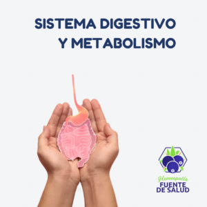 Sistema Digestivo y Metabolismo